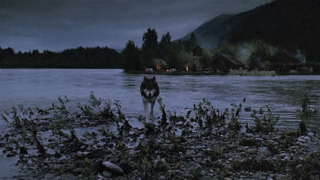 Image du film Croc-Blanc