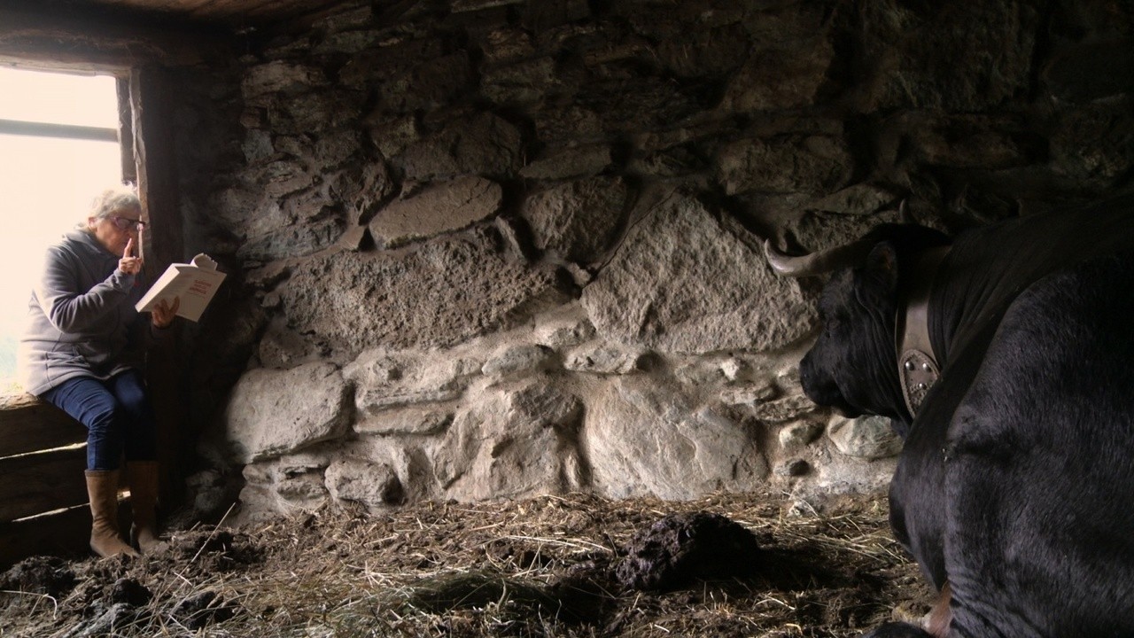 Image du film Vedette
