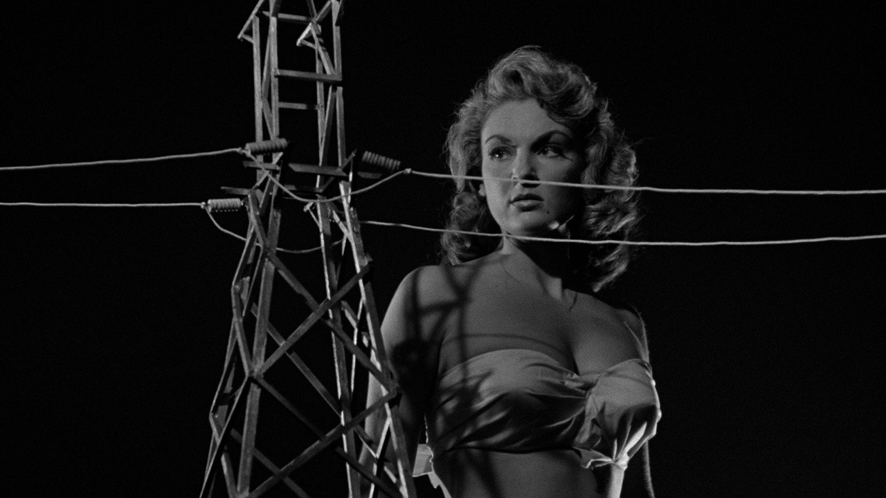 Attack of the 50 Foot Woman