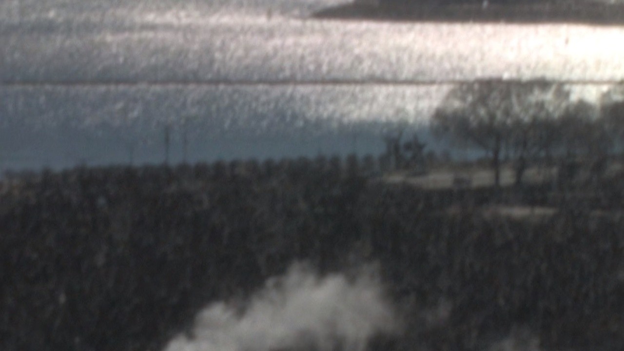 The Words Are Not What You Meant (2017) | MUBI