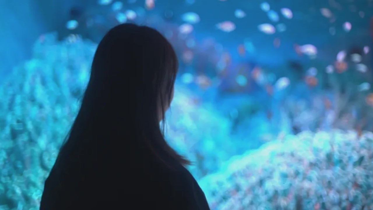 Image du film Satoshi Kon, l'illusionniste