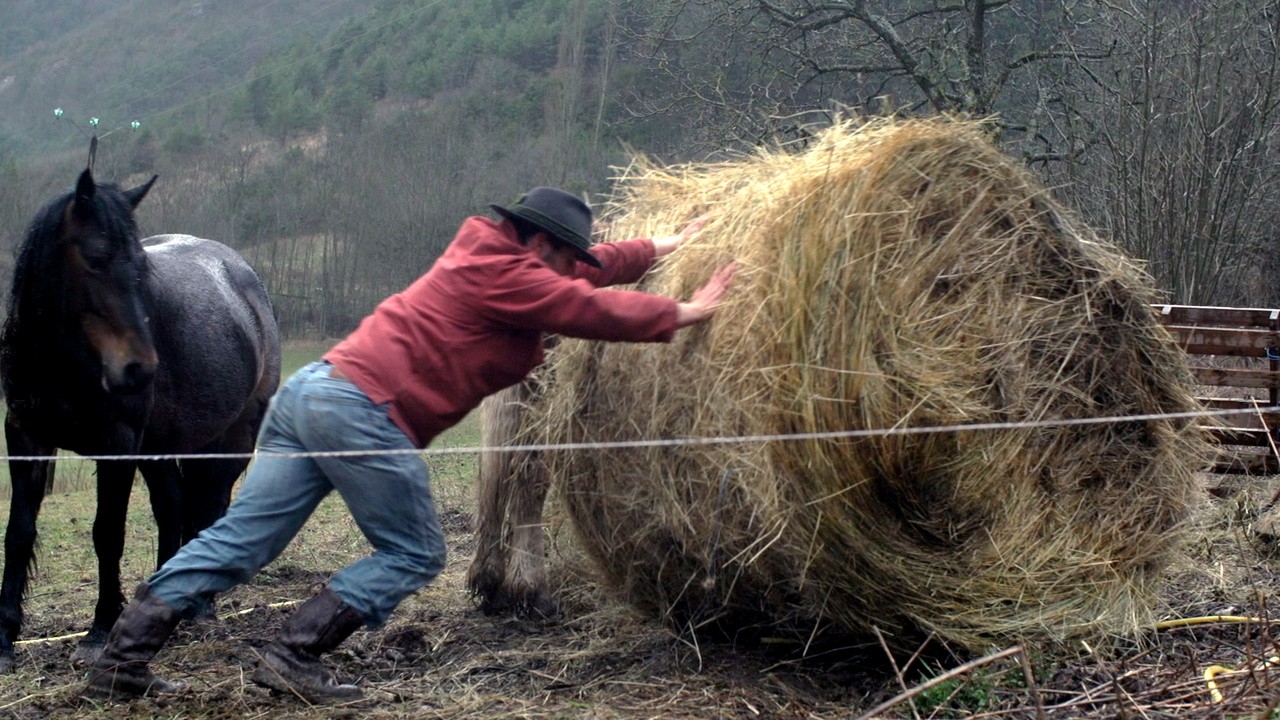Image du film La Métaphysique du berger