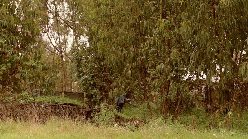 The Ridge final scene