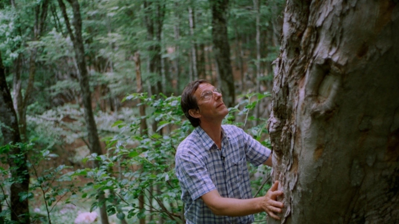 Image du film La Symphonie des arbres