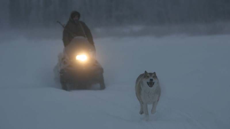 Happy People: A Year in the Taiga