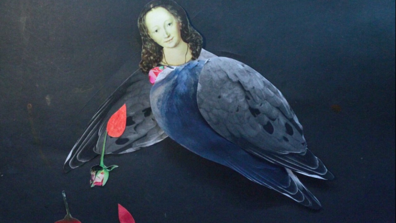 Letter to a Turtledove