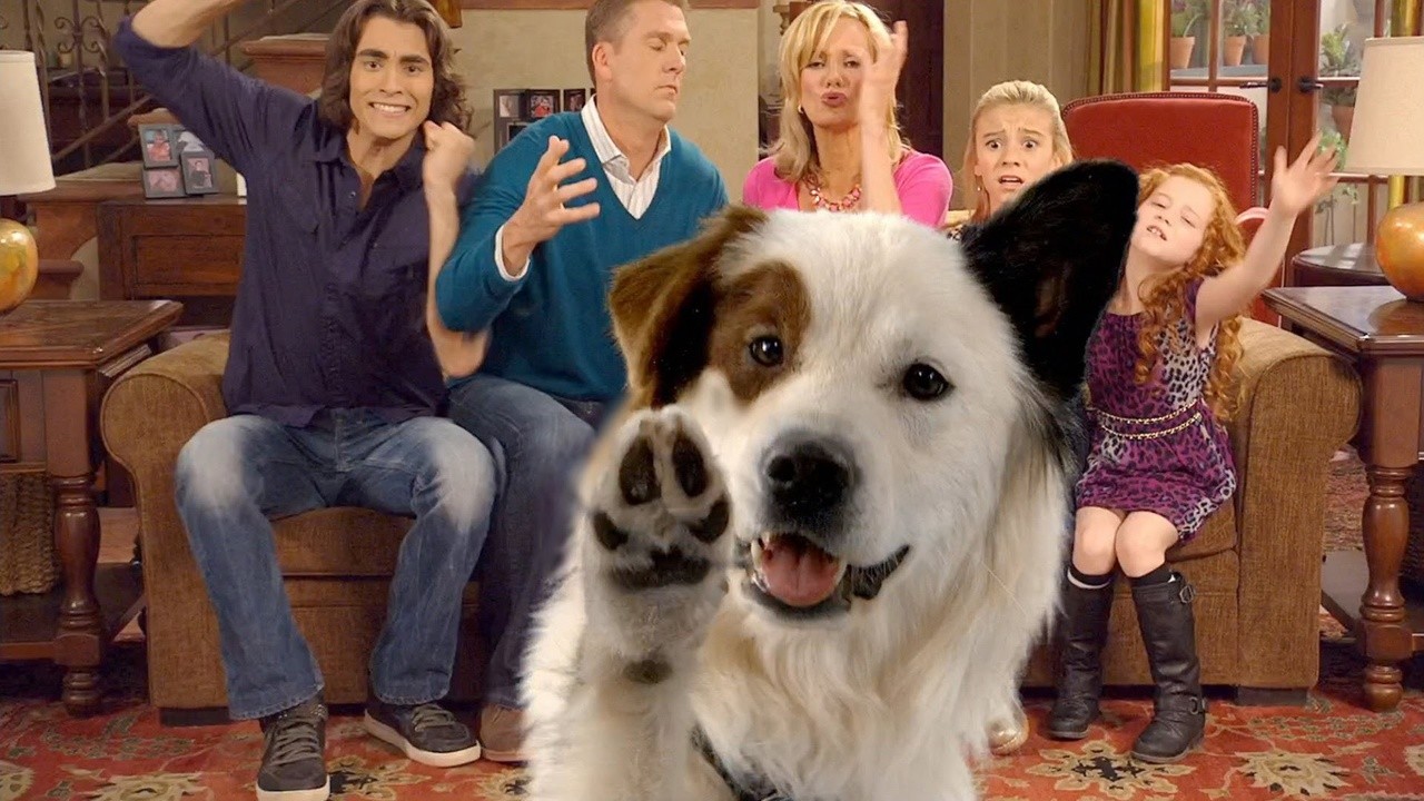 Dog with a Blog