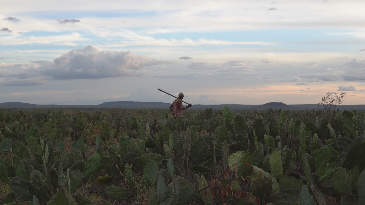 Pedro Tenório de Lima e a Enxada de um Poeta Iletrado