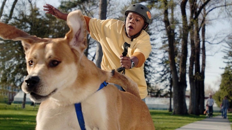 Life Is Ruff (2005) | MUBI