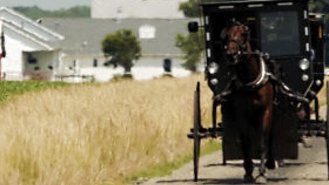 My Amish World