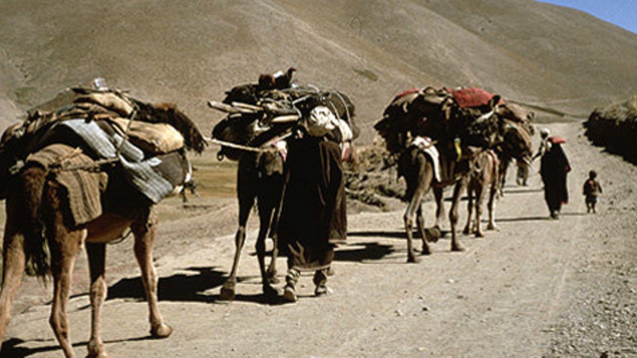 In the Shadow of the Caravans