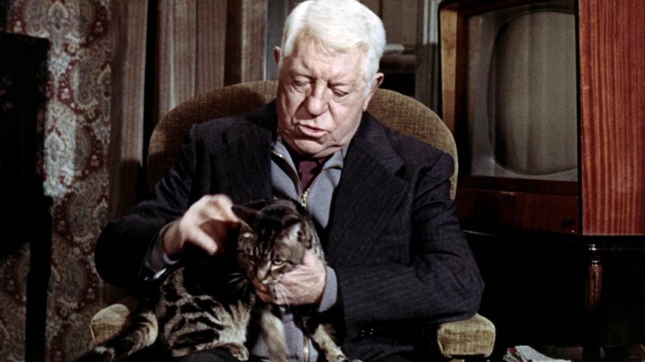 Image du film Le Chat