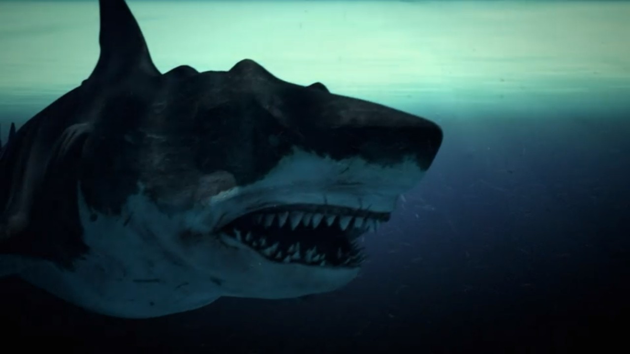 Megalodon
