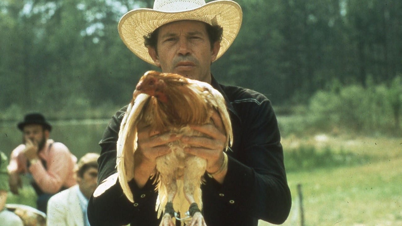 Cockfighter