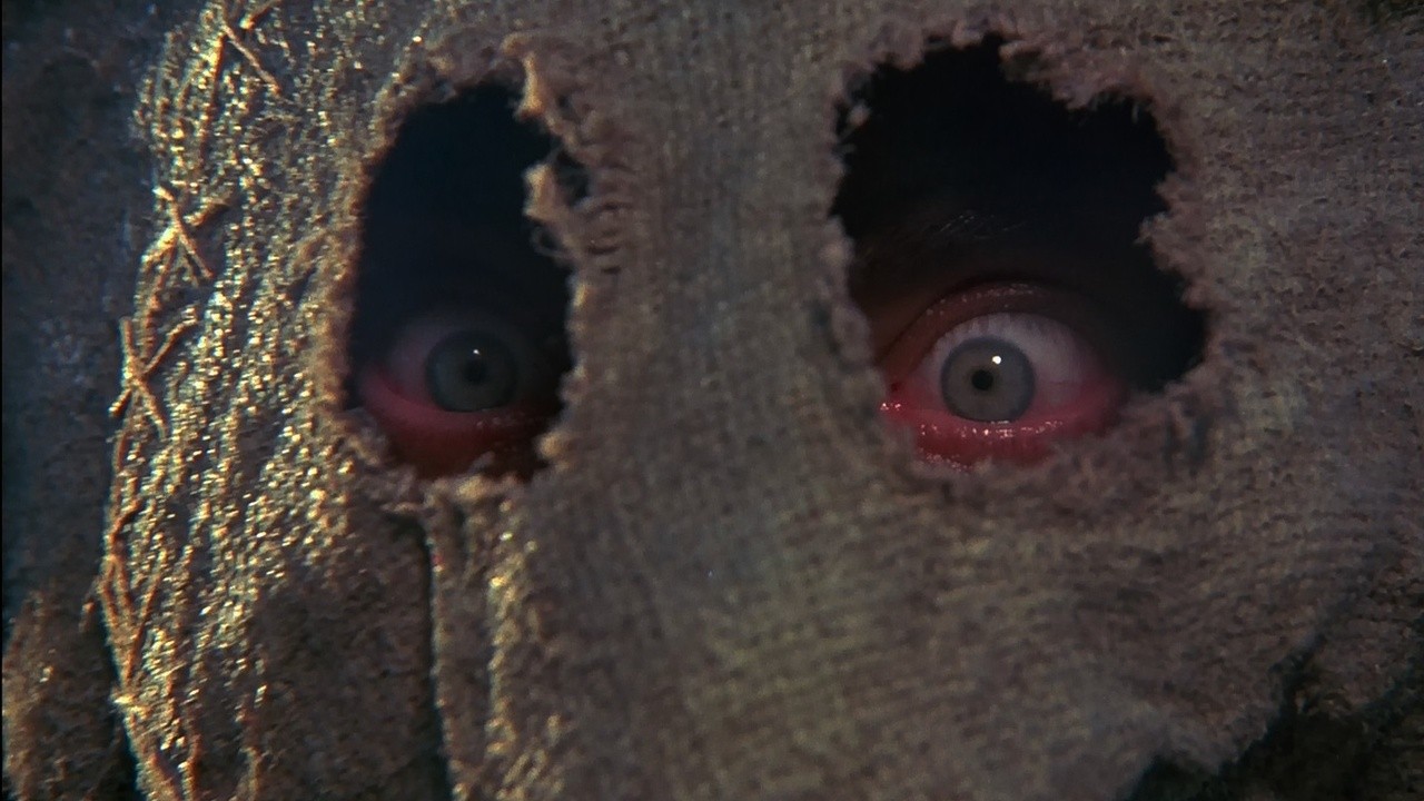 Dark Night of the Scarecrow