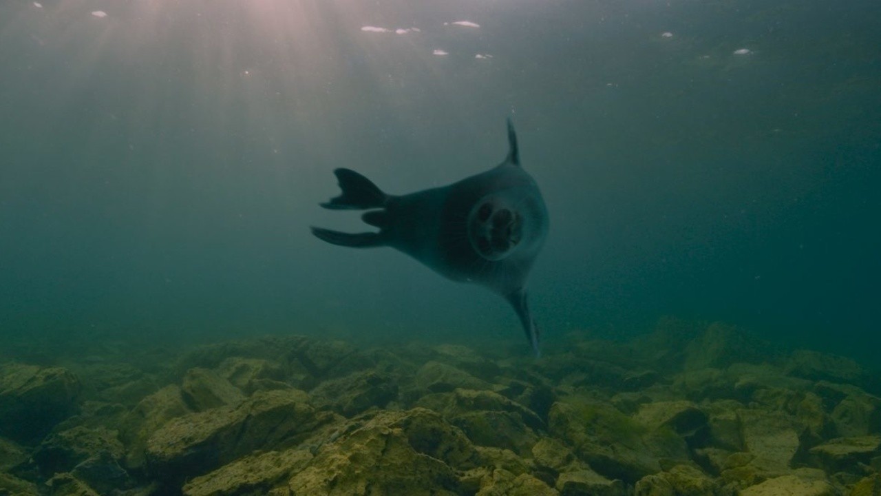 Baikal: Amazing Adventures of Yuma