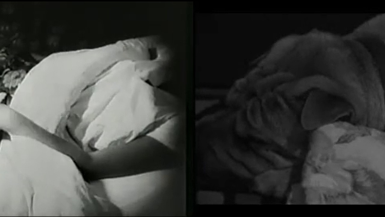 Man With a Movie Camera: The Global Remake