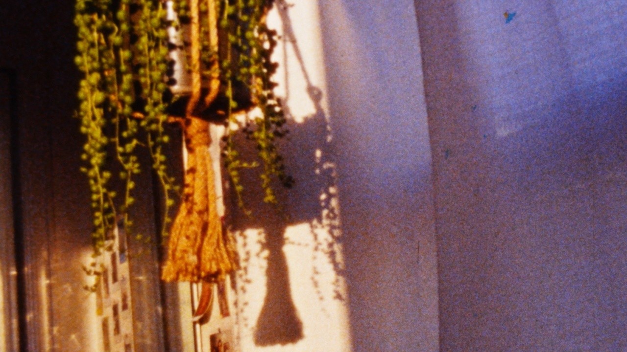 Who Wants to Fall in Love?