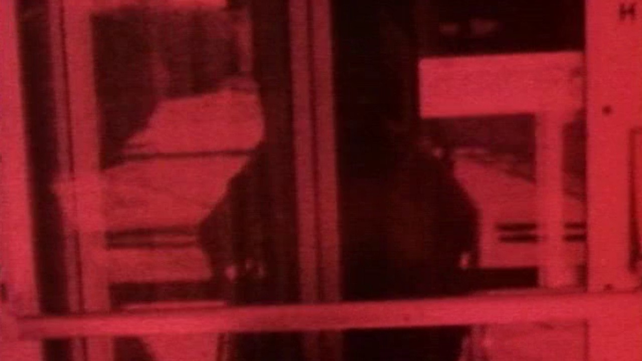 Image du film Optic Nerve