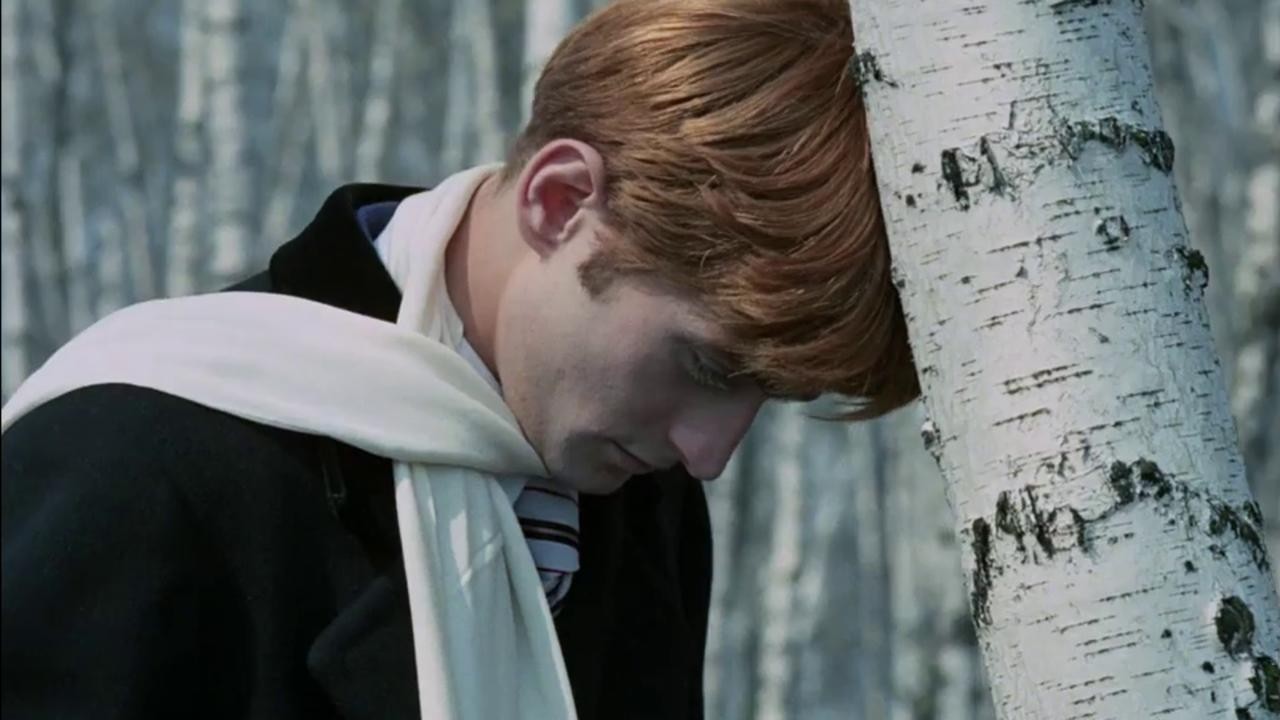 The Birch Wood