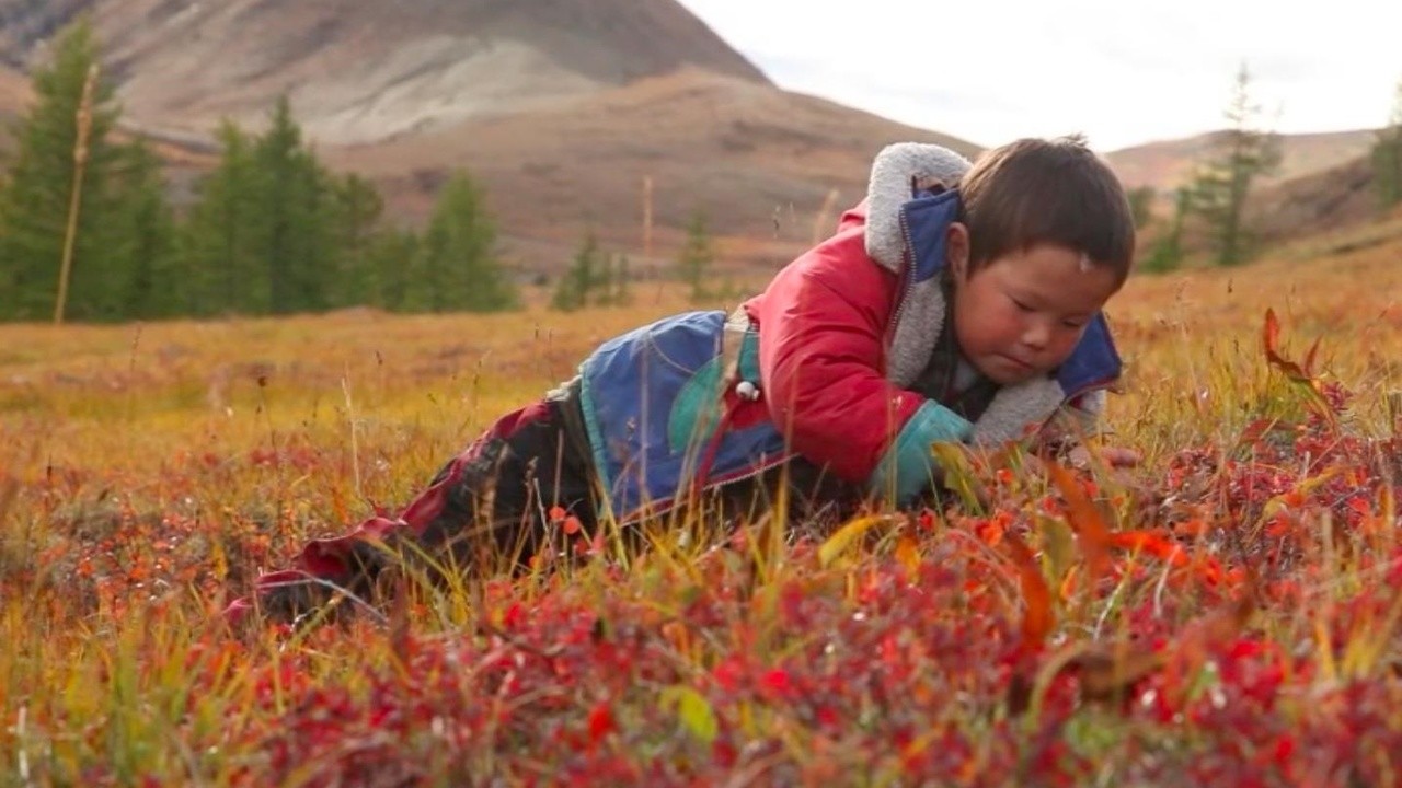 The Breath of the Tundra