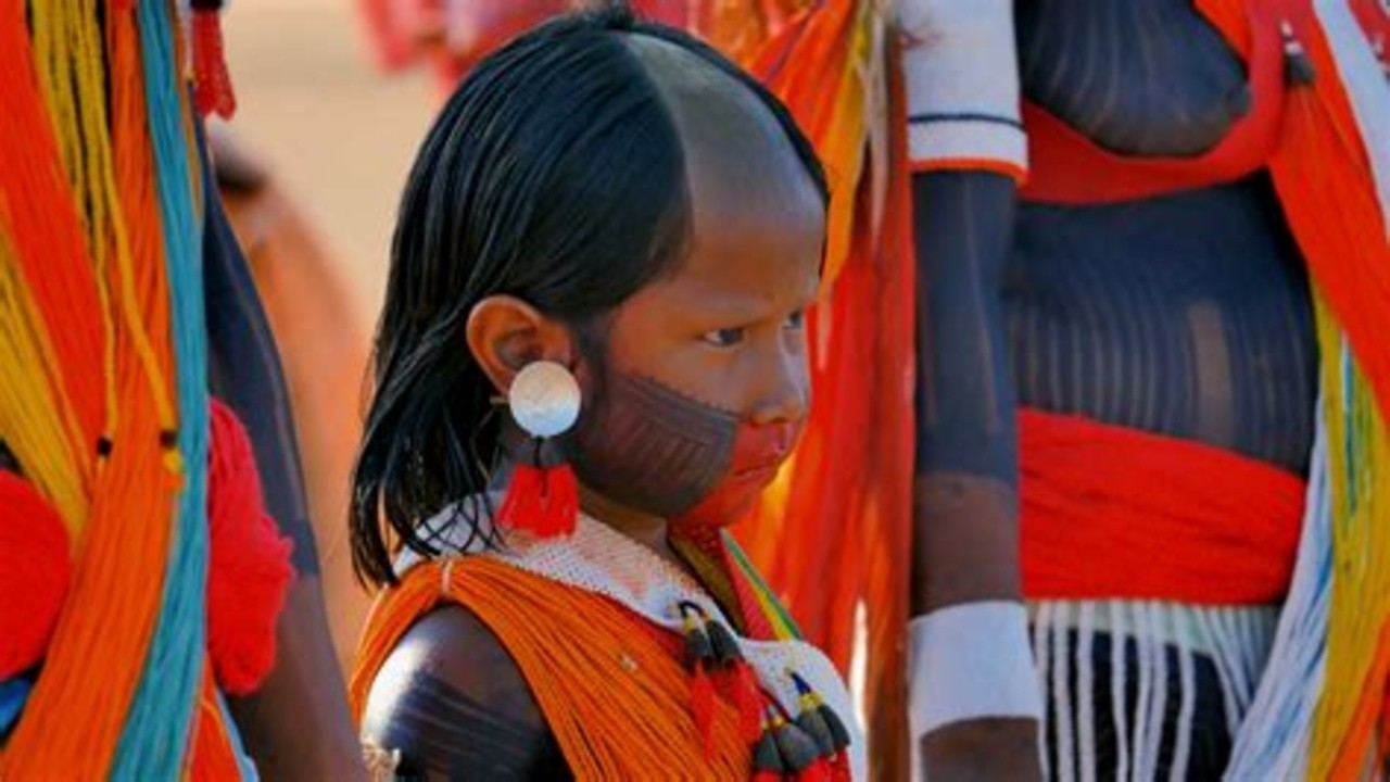 Image du film Terra Libre