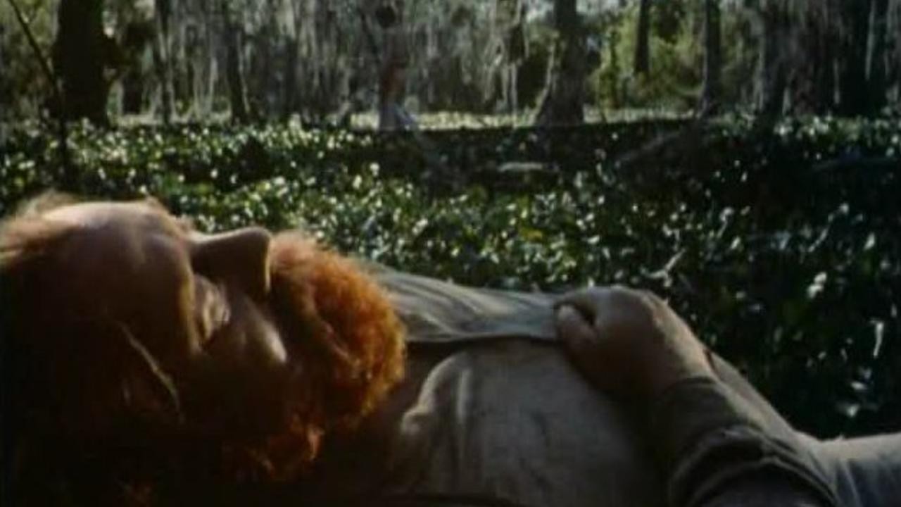 Image du film La Foret interdite