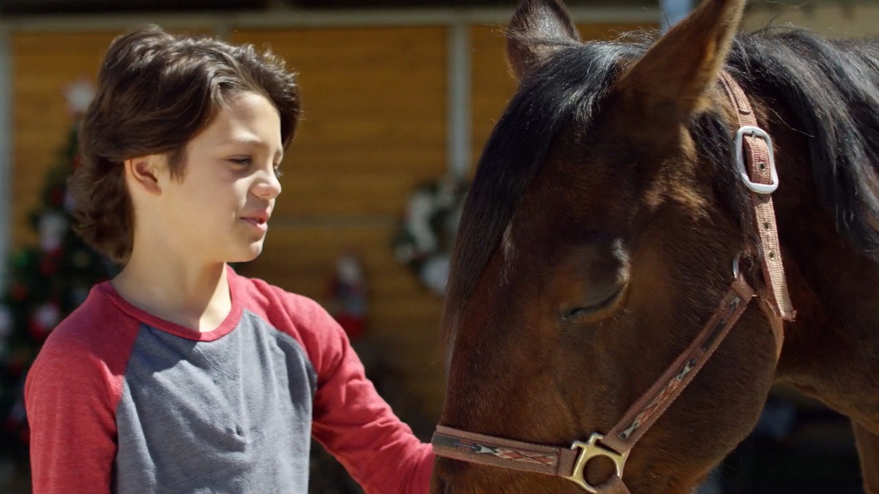 Ace & the Christmas Miracle