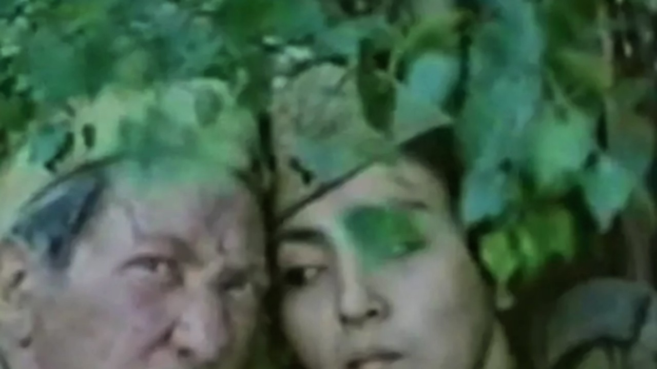 Snipers (1985) | MUBI