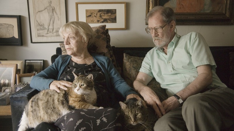Old Cats