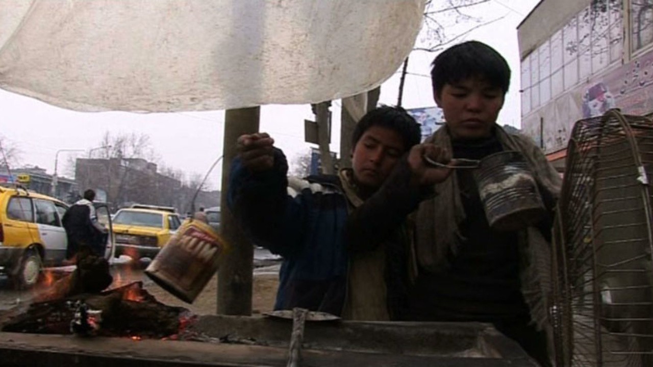 Bulbul The City Bird 2007 Mubi