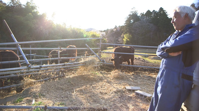 Alone Again in Fukushima 2020