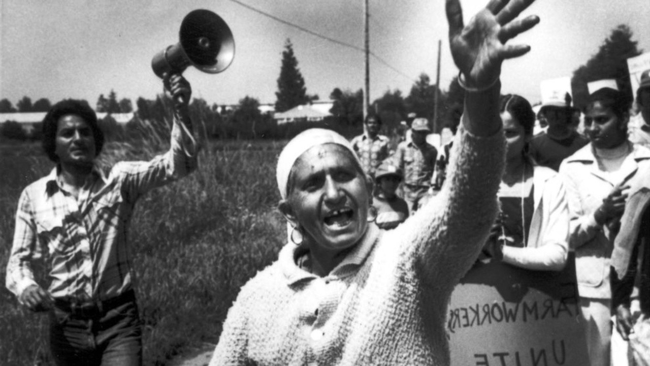A Time to Rise (1981) | MUBI
