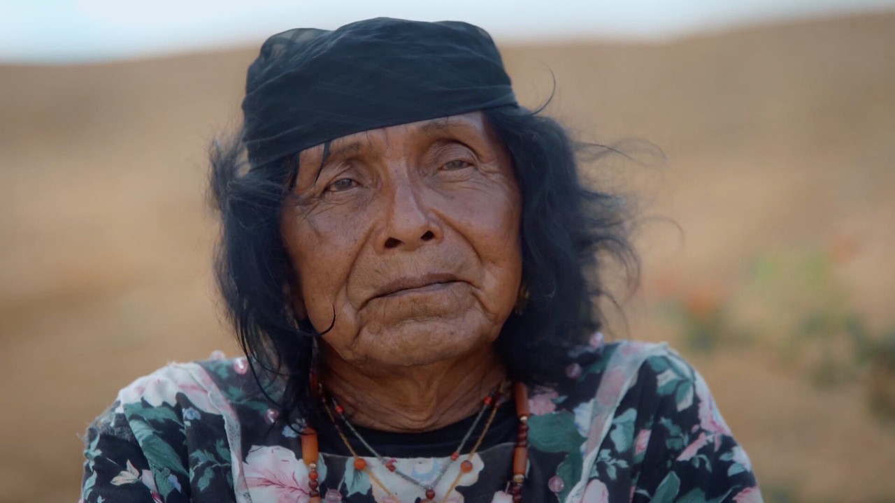 Two-Spirit