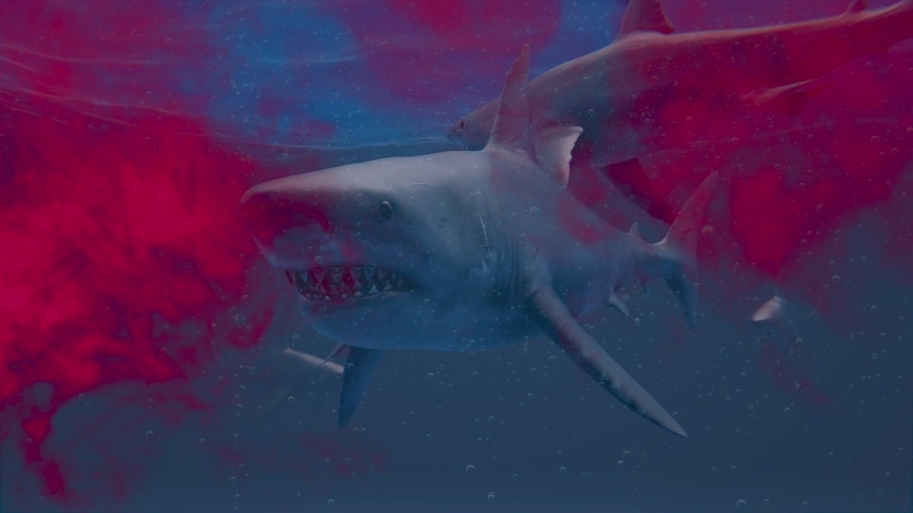 Virus Shark