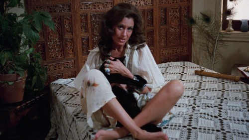9 Lives of a Wet Pussy
