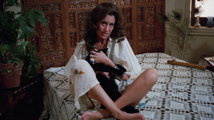 9 Lives of a Wet Pussy