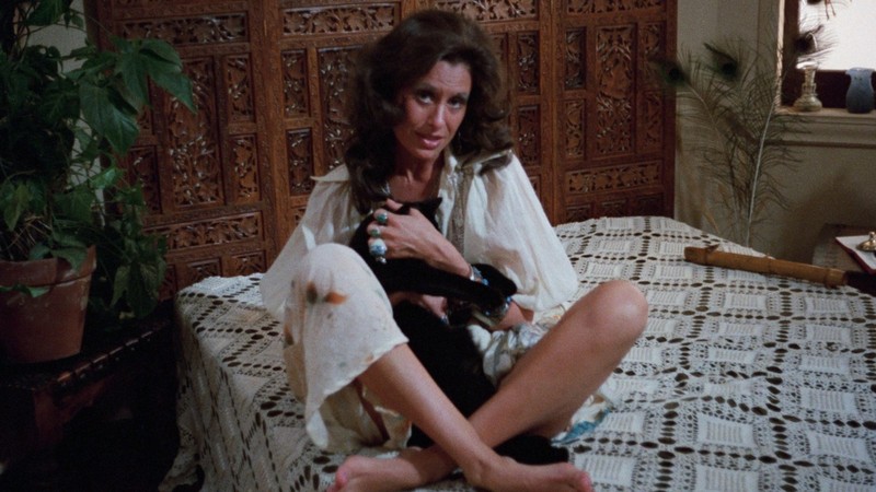 9 Lives of a Wet Pussy
