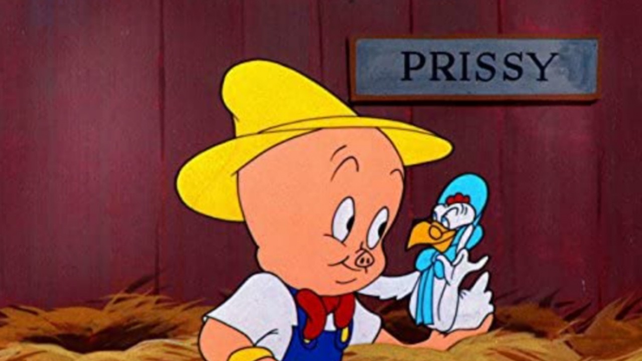 The Porky Pig Show