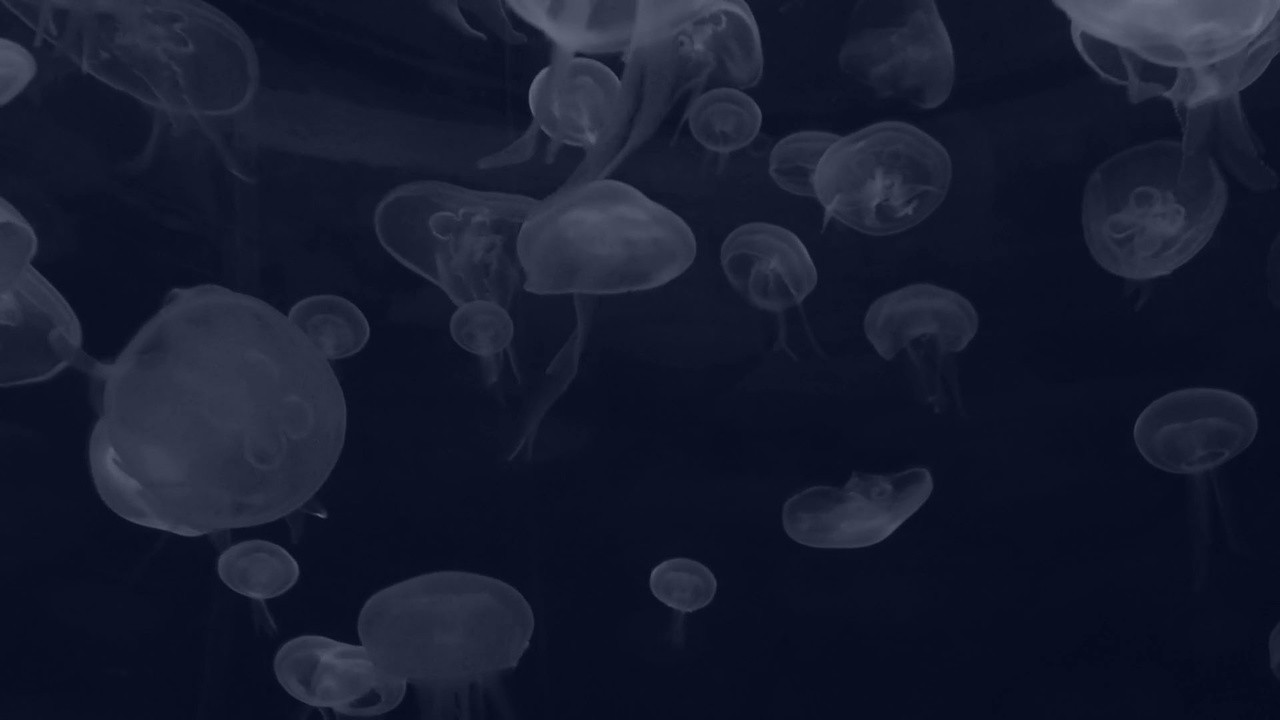 Deep Blue
