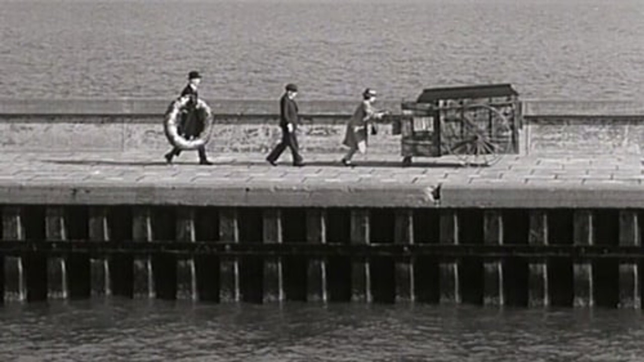 Seraphine or the Miraculous Story of Aunt Flora