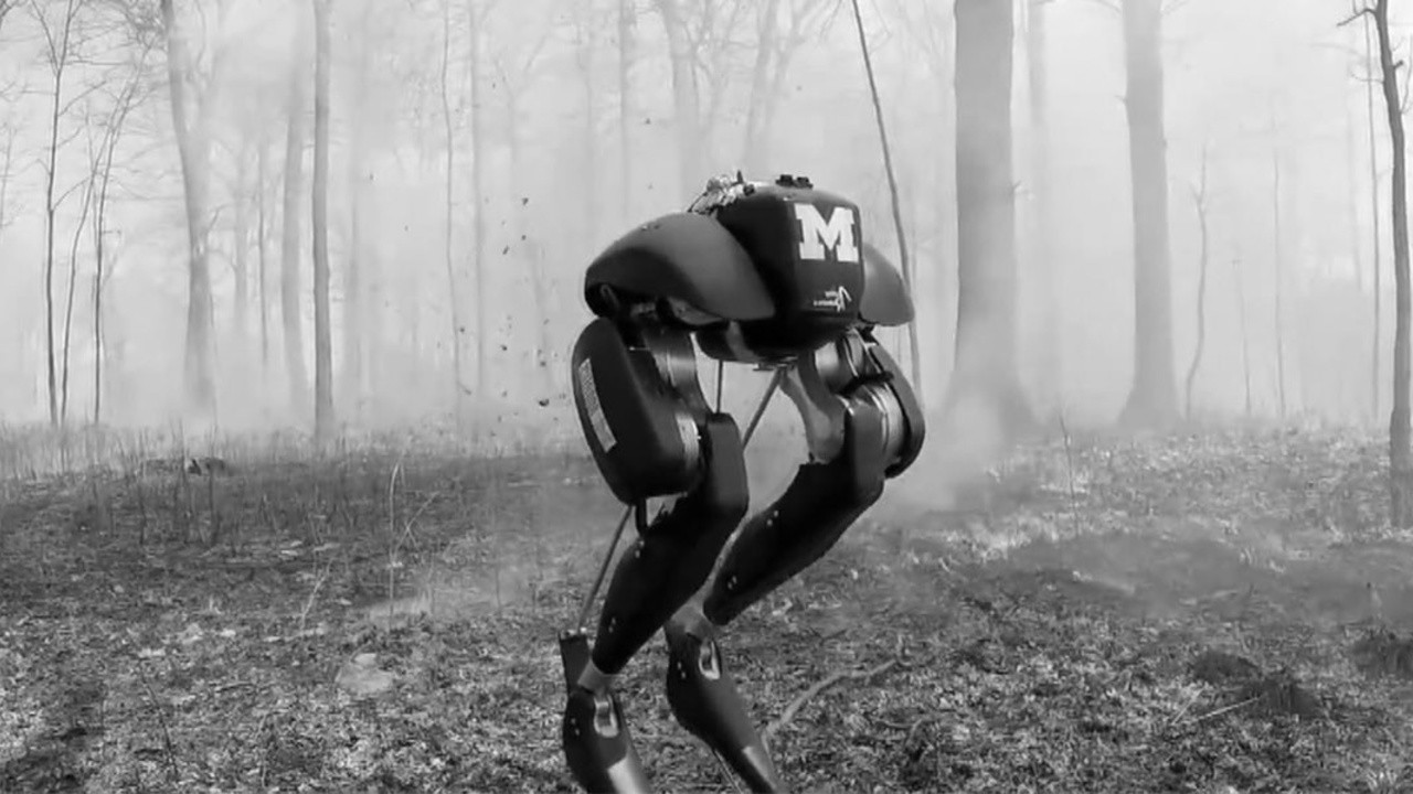 Sad Machines (2021) | MUBI