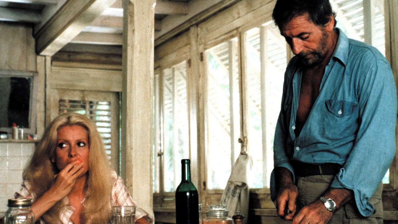 Image du film Le Sauvage