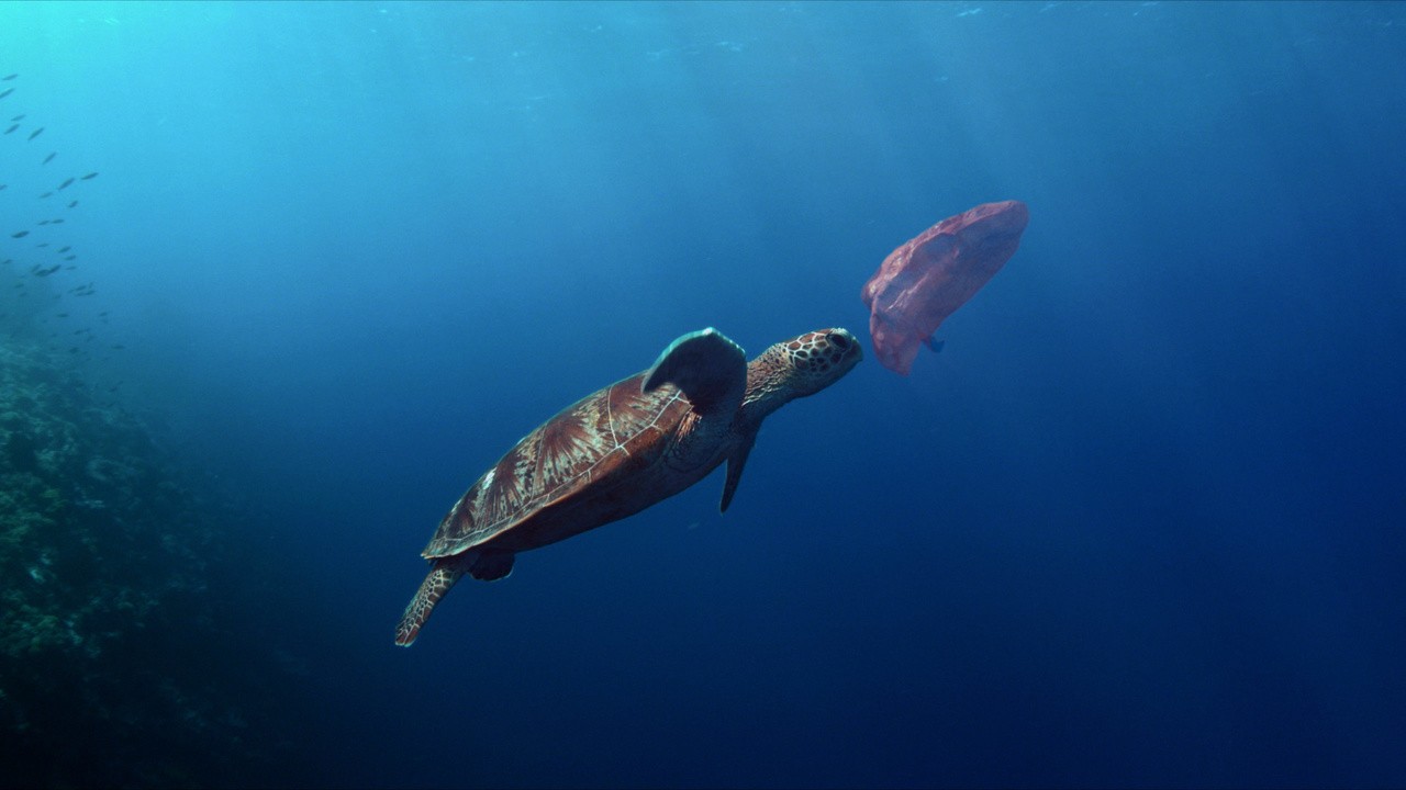 Life Below Water