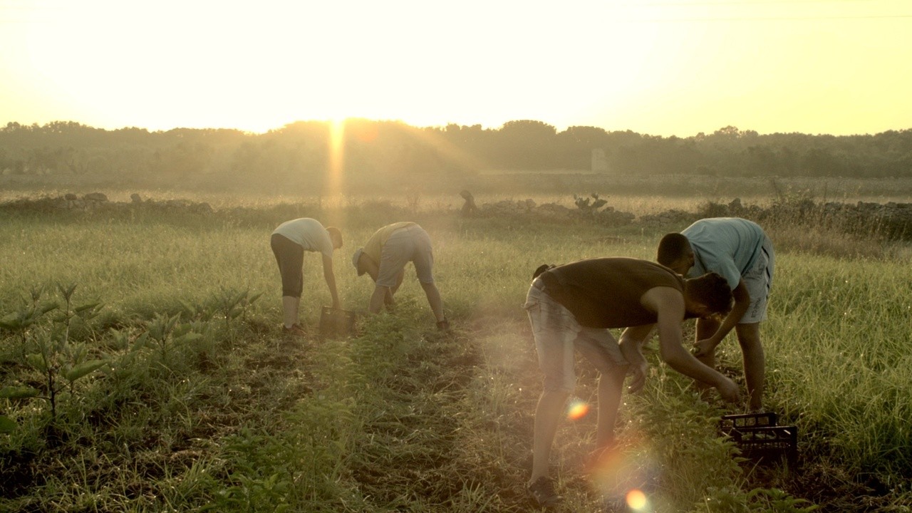Image du film La restanza