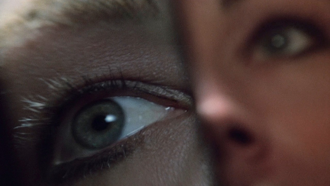 Image du film La veuve noire