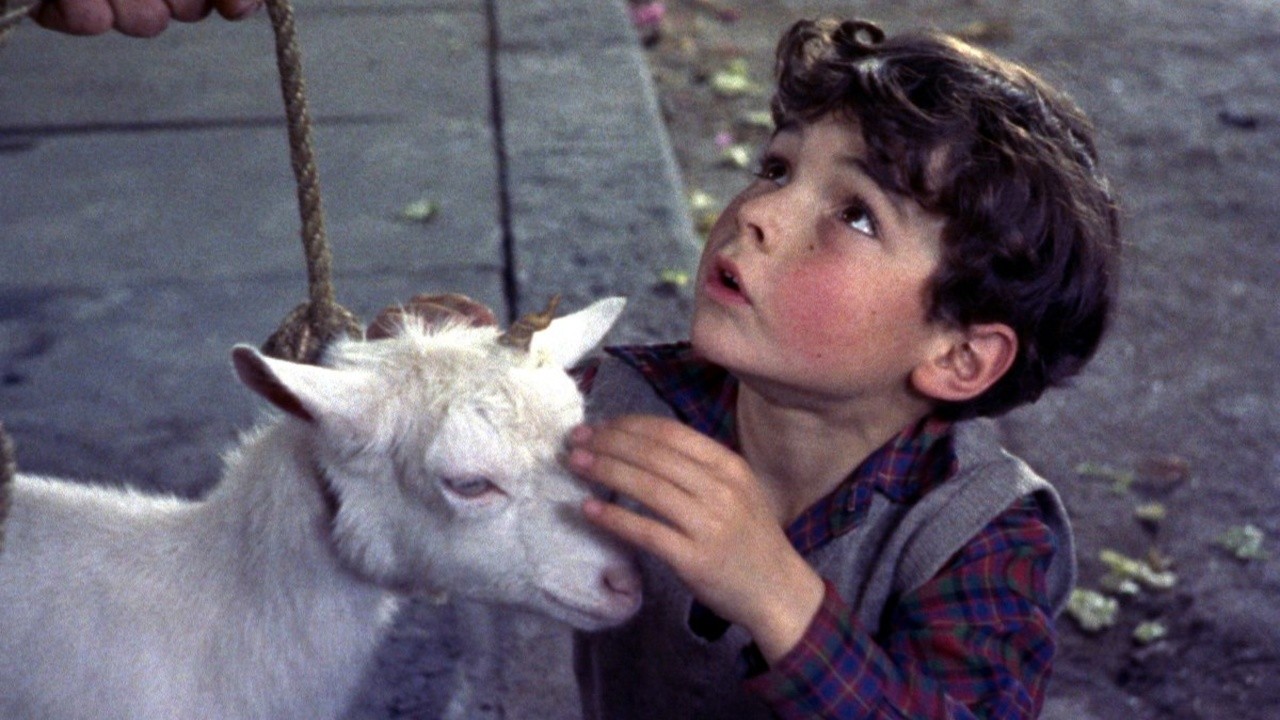 Image du film L'enfant et la licorne