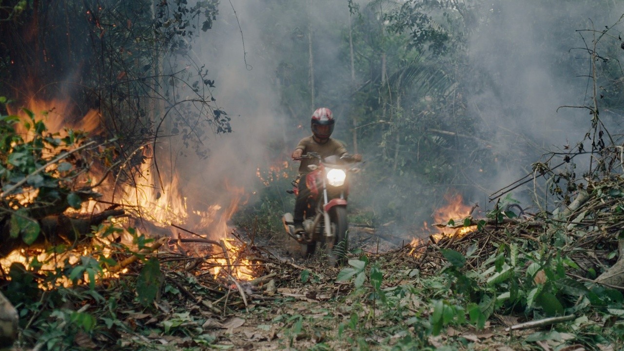 Image du film La Forêt amazonienne - Notre terre