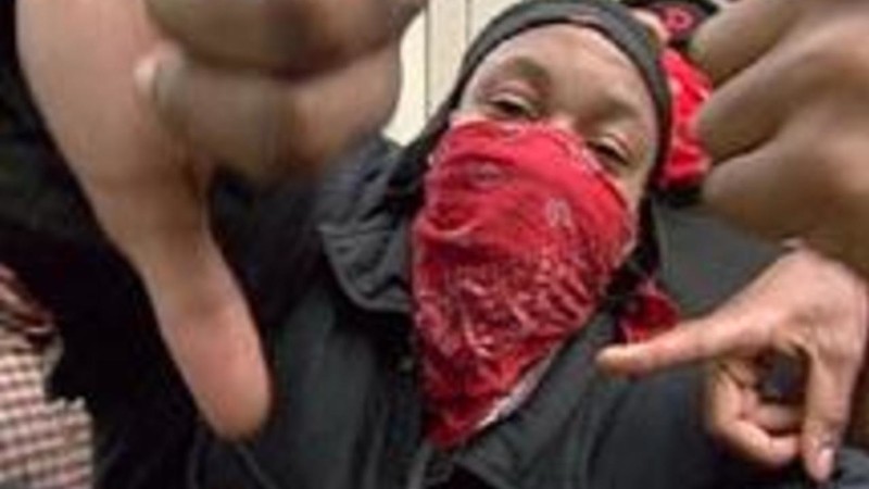 Slippin': Ten Years with the Bloods