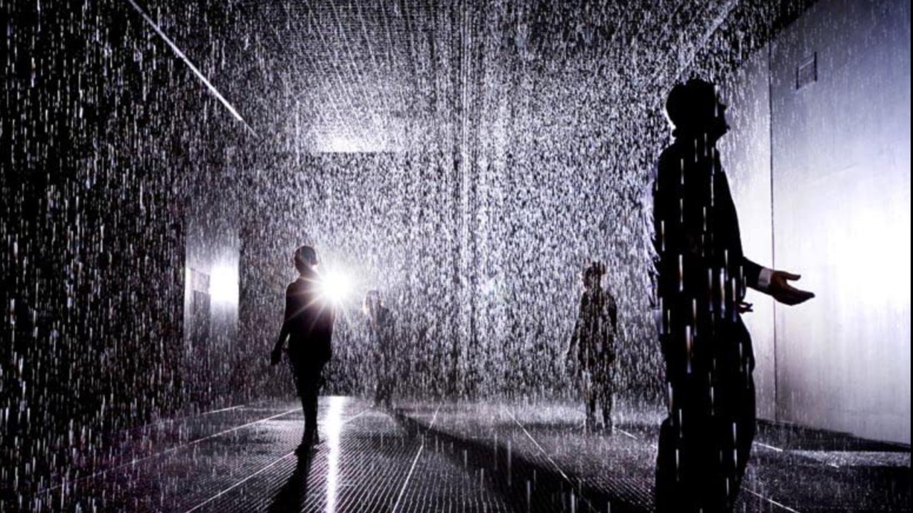 Kobra: What Does Rain Stand For?